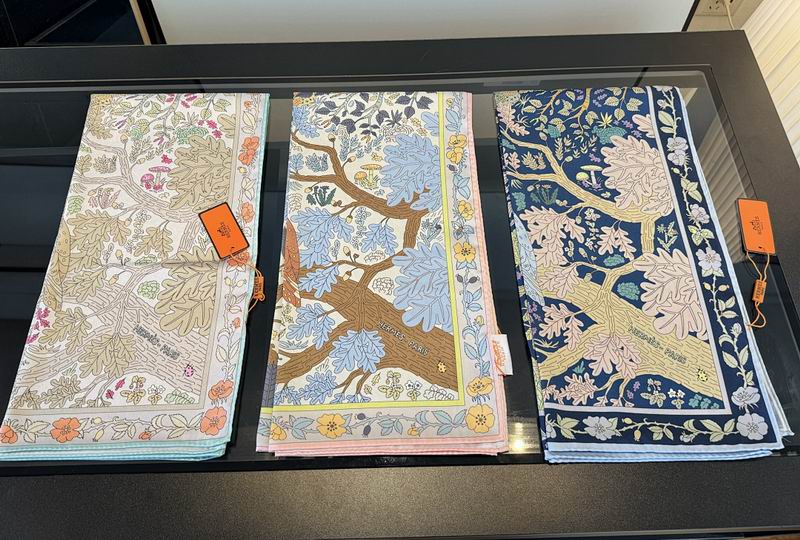 Hermes silk scarf hm06